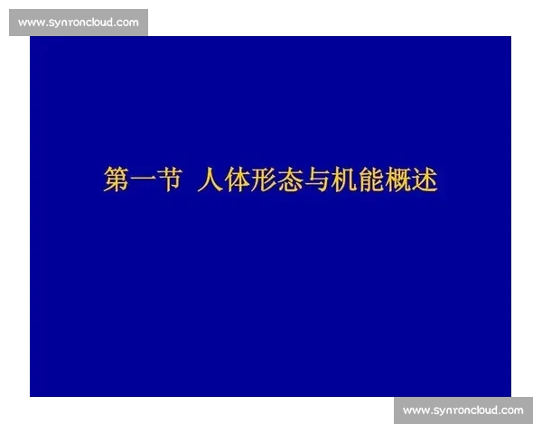 围绕理疗恢复促进身体机能提升与健康管理的系统性方案探索