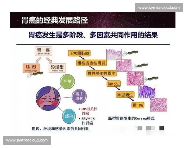 围绕淘汰出局机制探讨激烈竞争环境中个体生存策略与选择演变路径